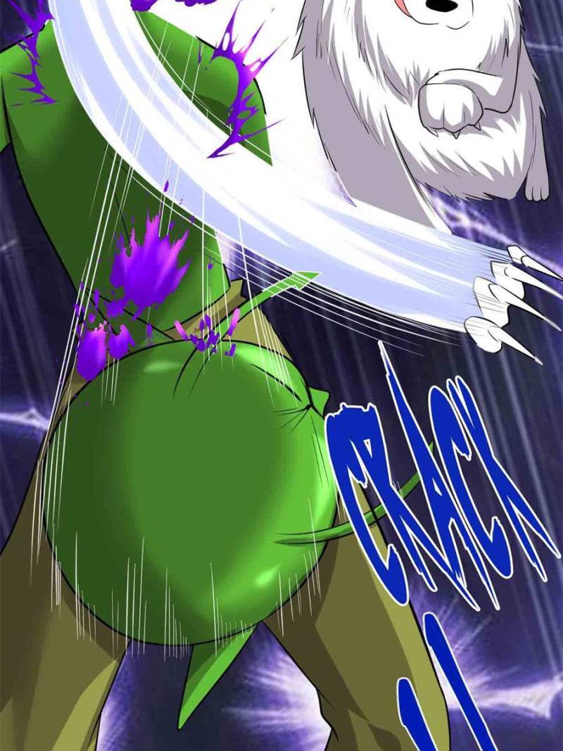 I Might Be a Fake Cultivator — Chapter 224 — page 19