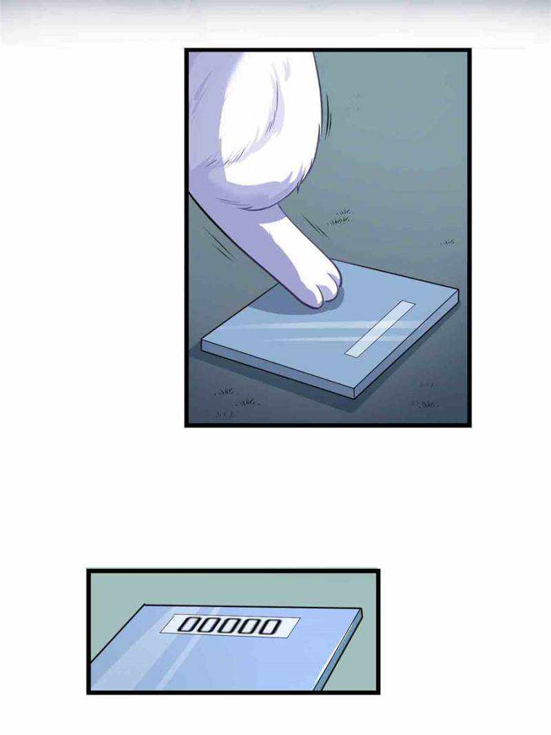 I Might Be a Fake Cultivator — Chapter 236 — page 22