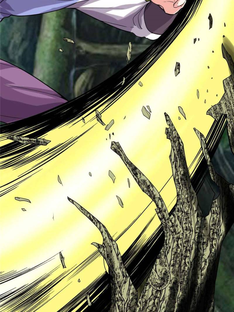 I Might Be a Fake Cultivator — Chapter 80 — page 46