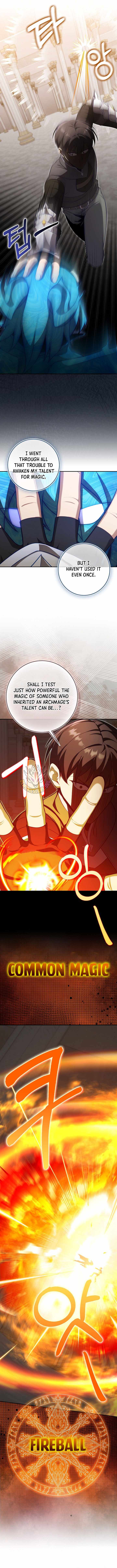 Max Level Player — Chapter 153 — page 3
