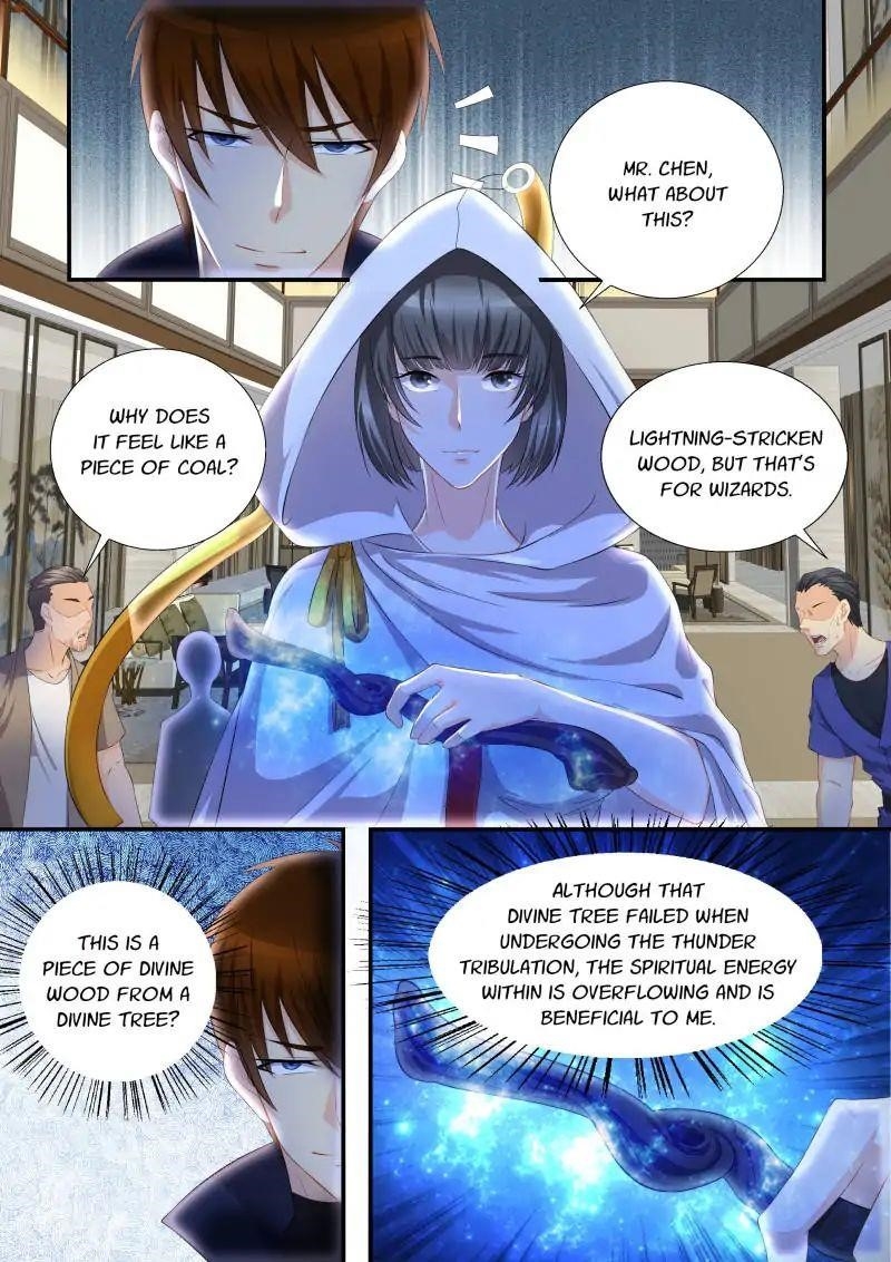Rebirth Of The Urban Immortal Cultivator — Chapter 117 — page 8