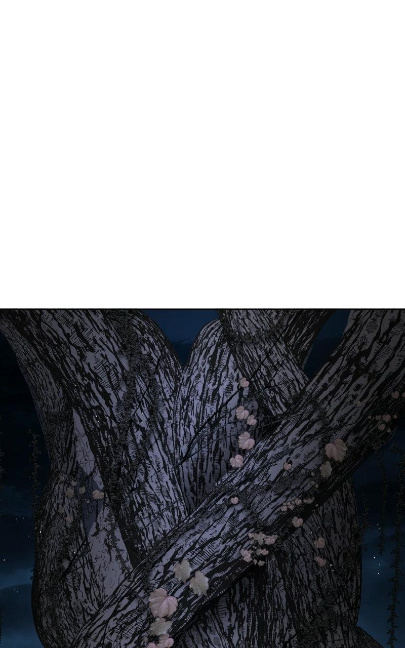 The Constellations Are My Disciples — Chapter 151 — page 96