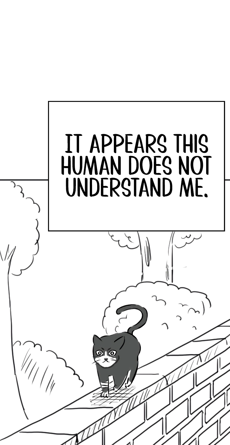 Reality Quest — Chapter 164.05 — page 34
