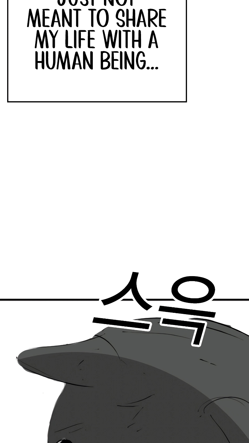 Reality Quest — Chapter 164.05 — page 72