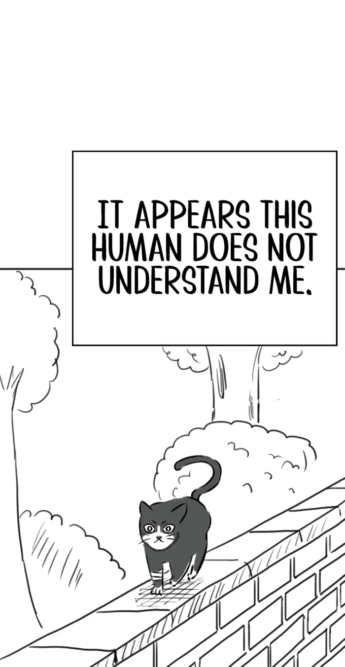 Reality Quest — Chapter 164.91 — page 33