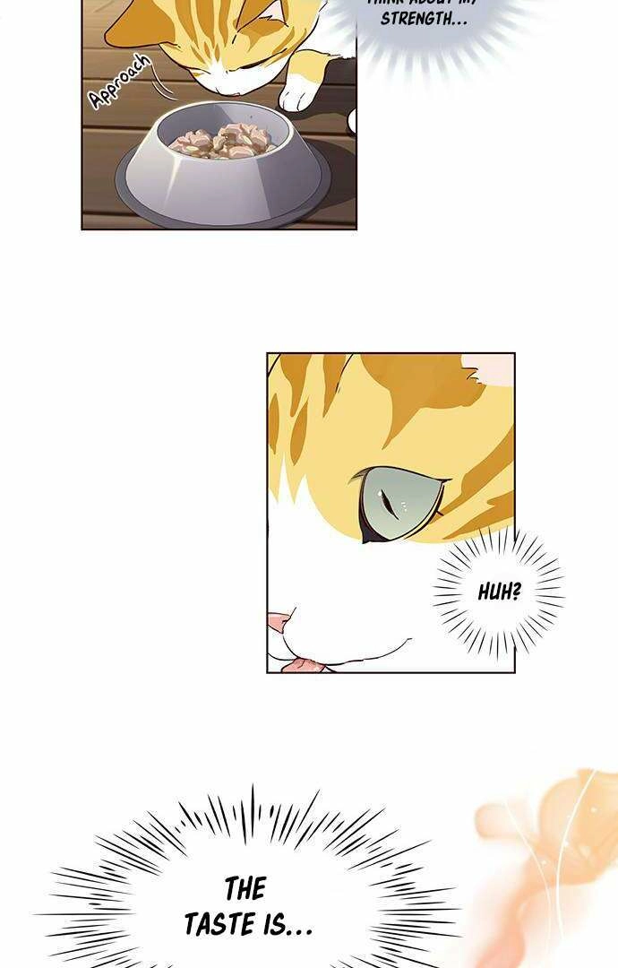 Eleceed — Chapter 2.1 — page 27