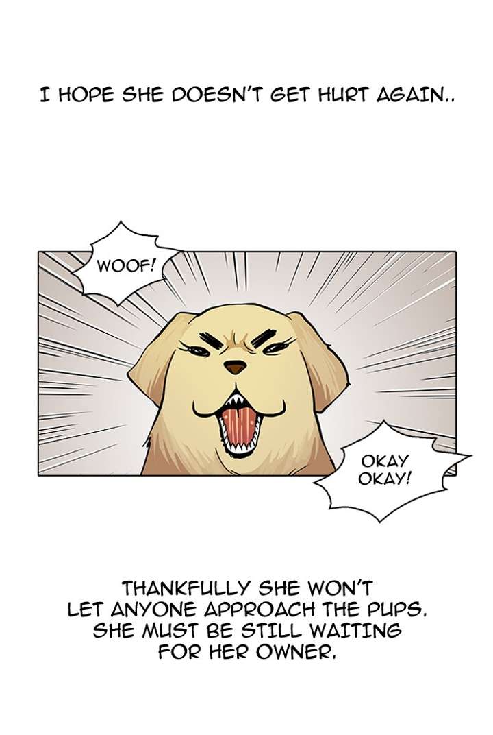 Lookism — Chapter 62 — page 37