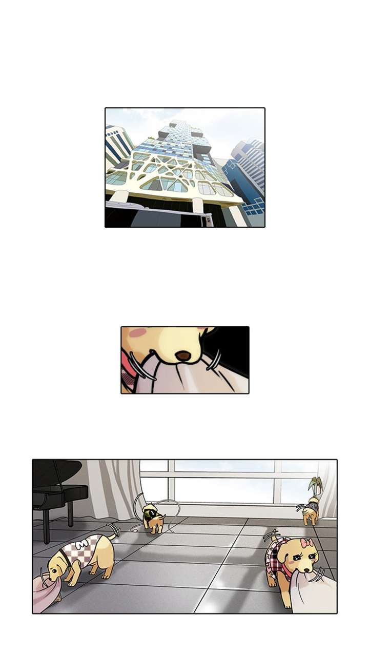 Lookism — Chapter 69 — page 1