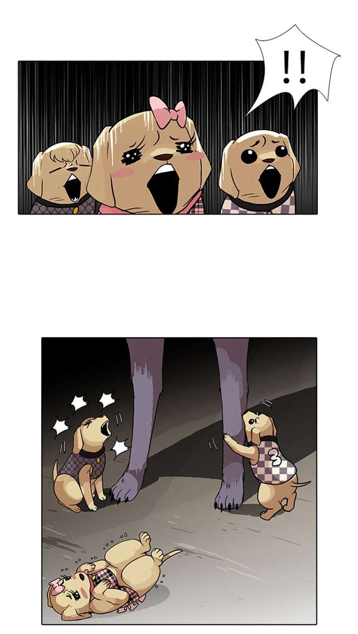Lookism — Chapter 69 — page 36