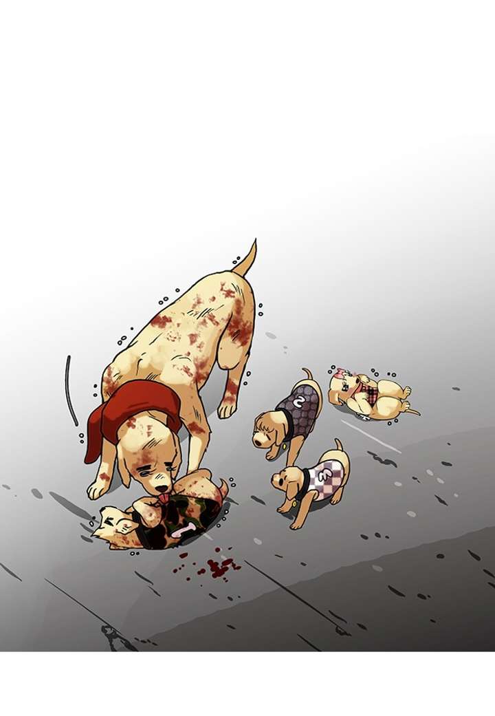 Lookism — Chapter 70 — page 23
