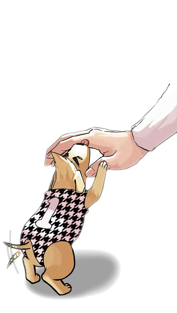 Lookism — Chapter 70 — page 47