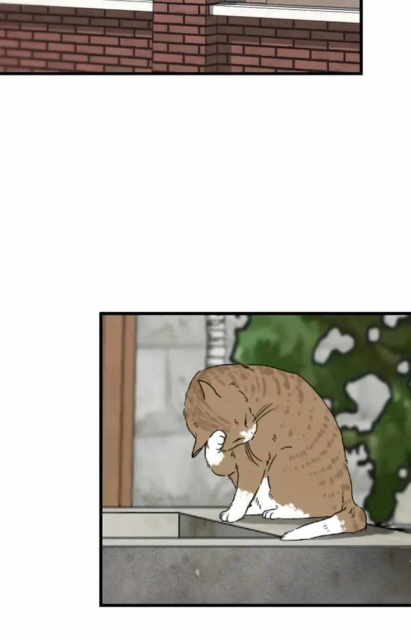 The Silent Transfer Student — Chapter 70 — page 46