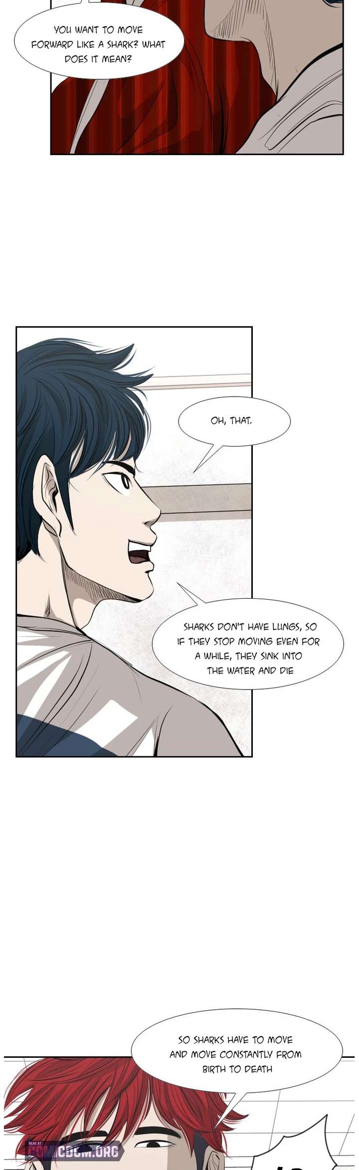 Shark – Manga — Chapter 135 — page 31