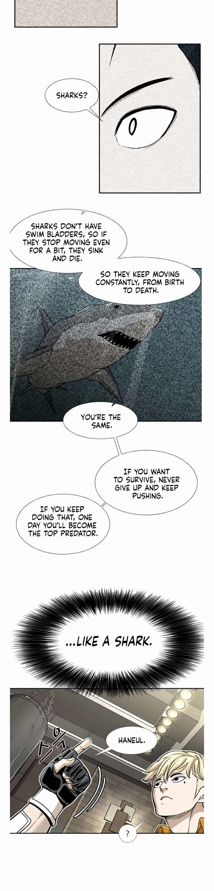 Shark – Manga — Chapter 239 — page 22