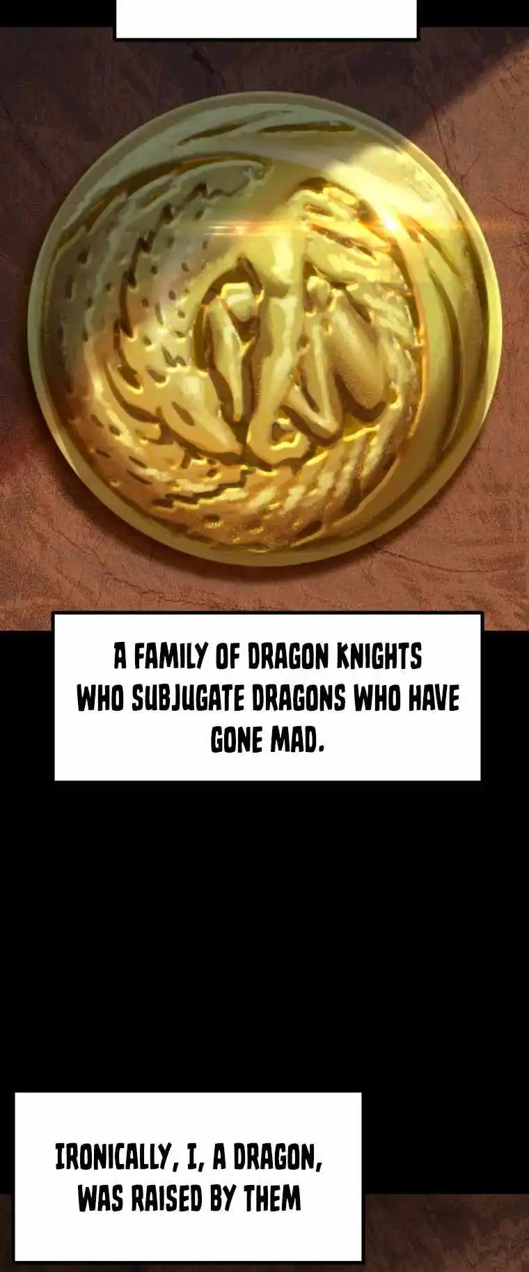 Survival Story of a Sword King in a Fantasy World — Chapter 161 — page 5