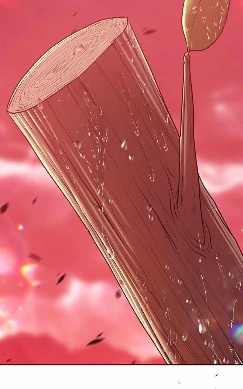 99 Reinforced Wood Stick — Chapter 80 — page 243