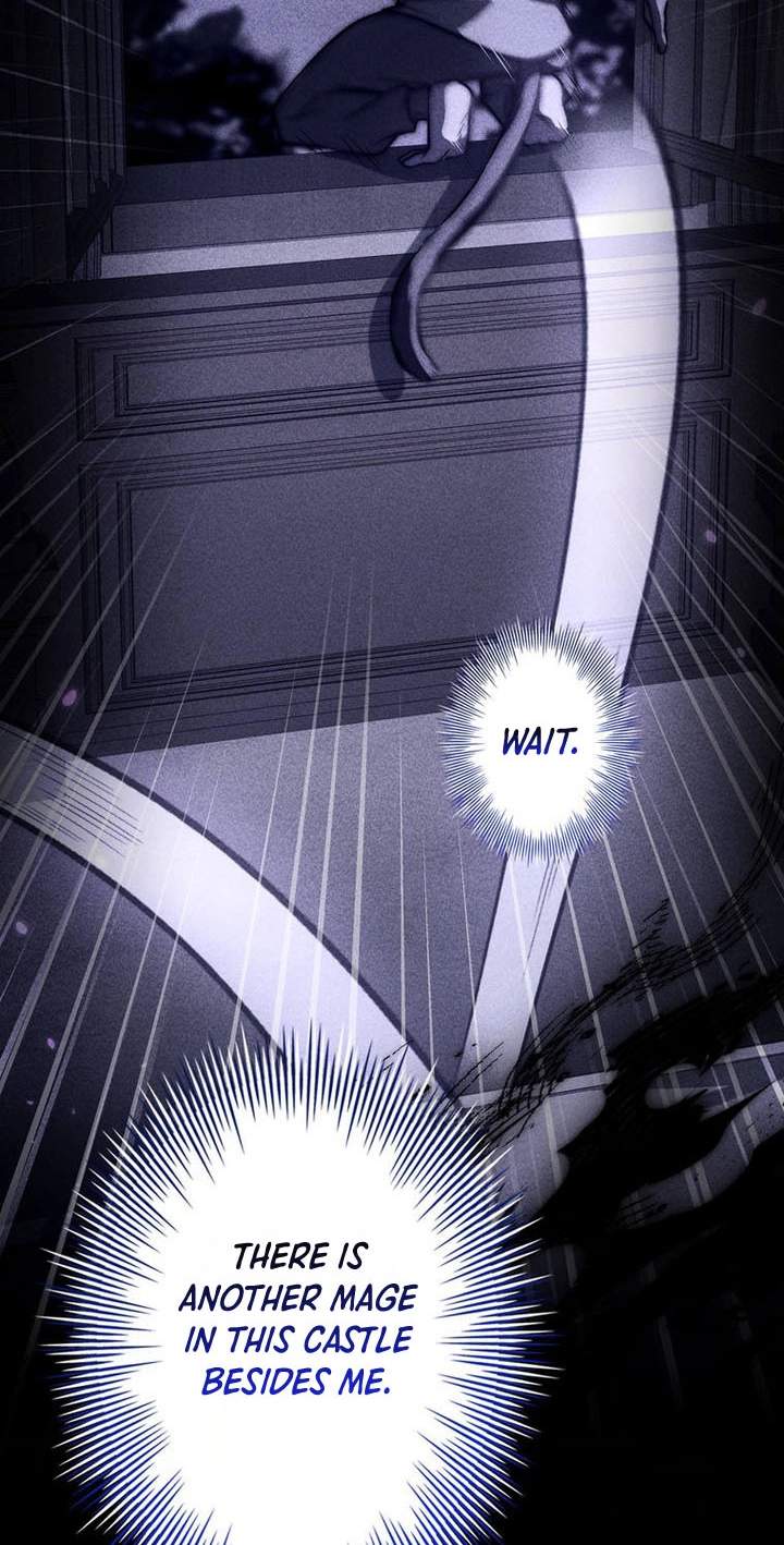 I Became a Mage in a Medieval Fantasy World — Chapter 44 — page 74