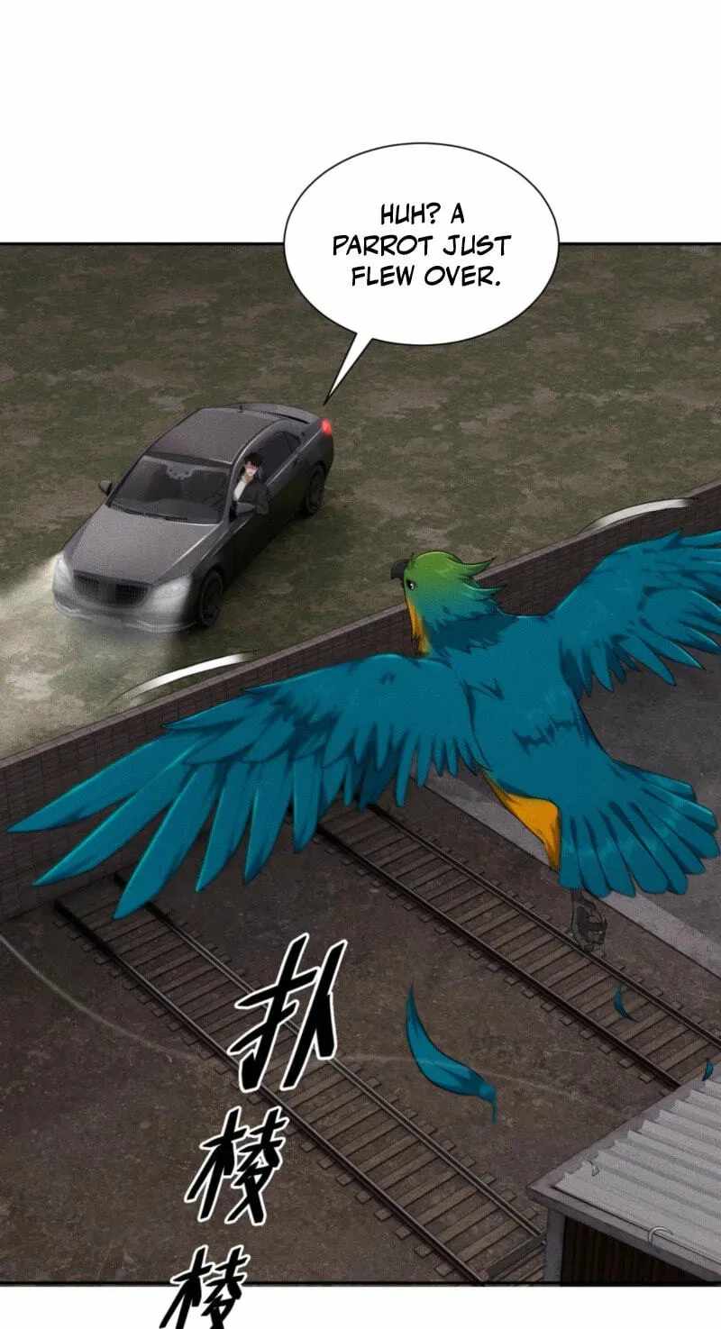 Urban Dragon Revealed — Chapter 101 — page 23