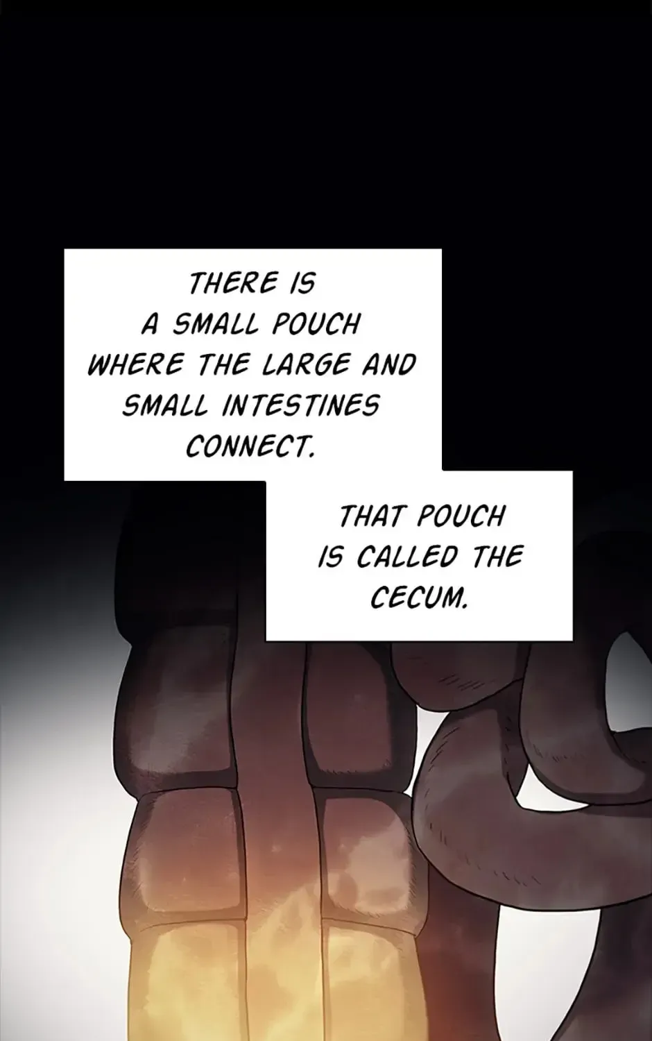 Dr. Choi Tae-Soo — Chapter 140 — page 65
