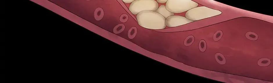 Dr. Choi Tae-Soo — Chapter 152 — page 138