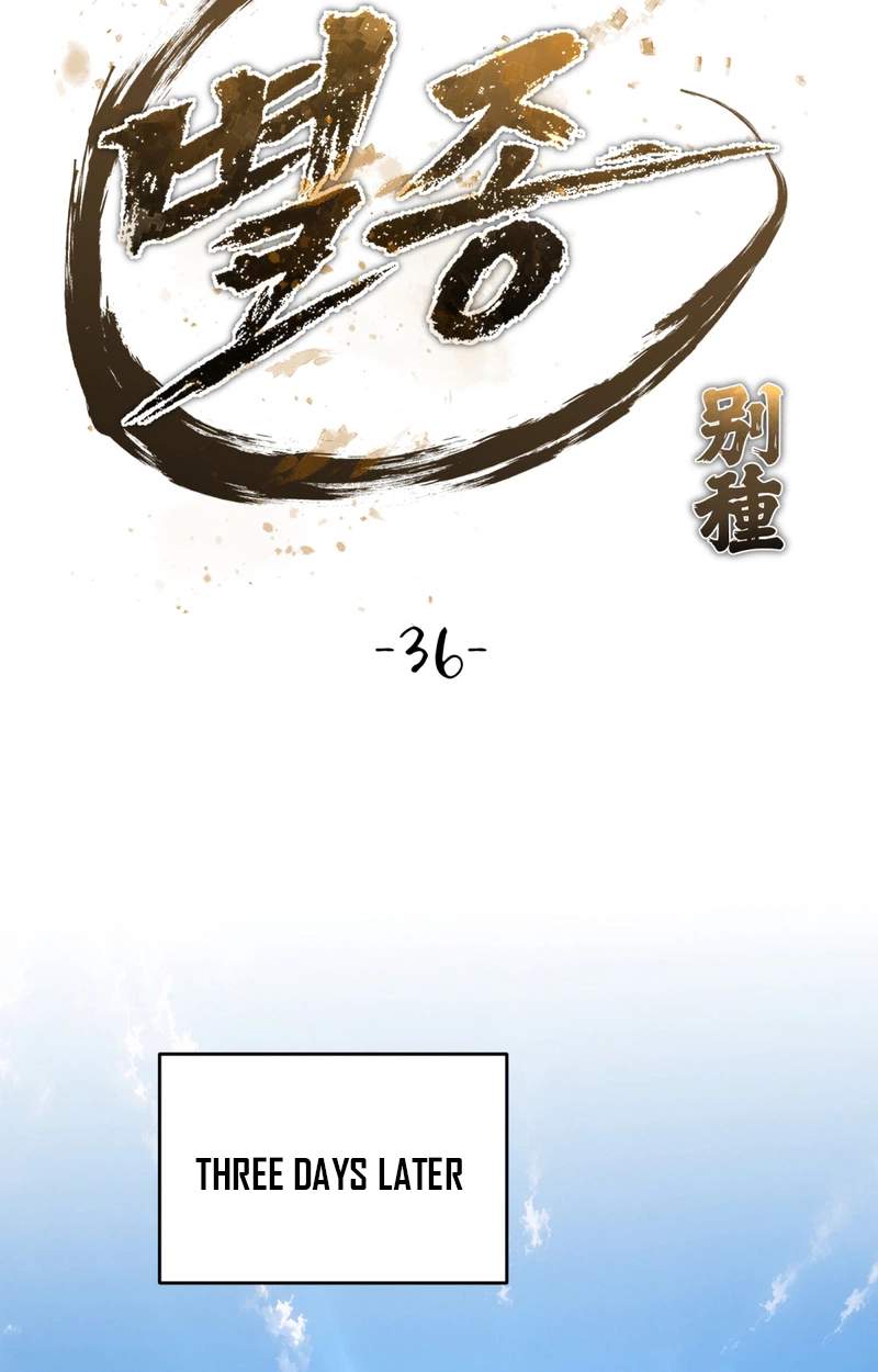The Misfit of the Martial World — Chapter 36 — page 13