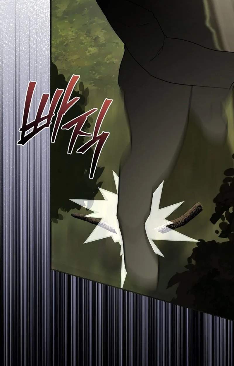 SSS-Class Regressor Has No Conscience — Chapter 27 — page 88