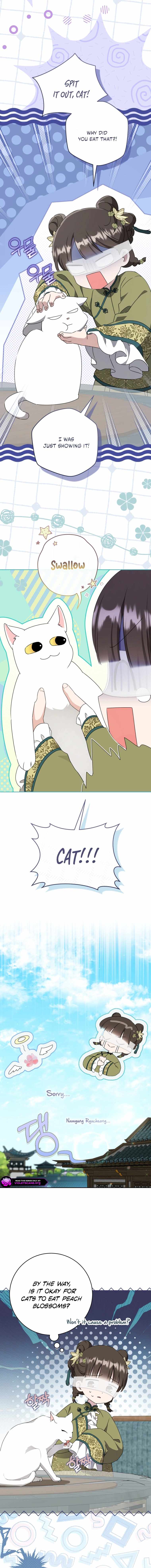 I Became the Despised Granddaughter of the Murim Family — Chapter 96 — page 7