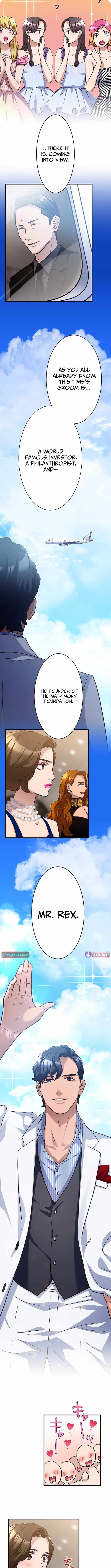 The Perfect Groom: Will You Offer Him True Love? — Chapter 1 — page 8