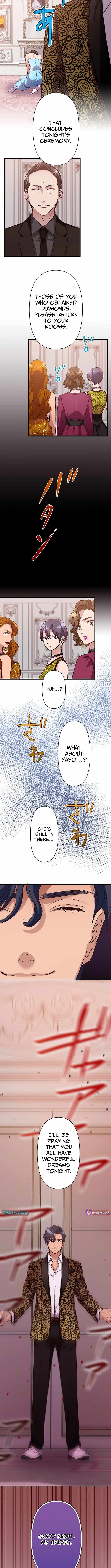 The Perfect Groom: Will You Offer Him True Love? — Chapter 15 — page 8