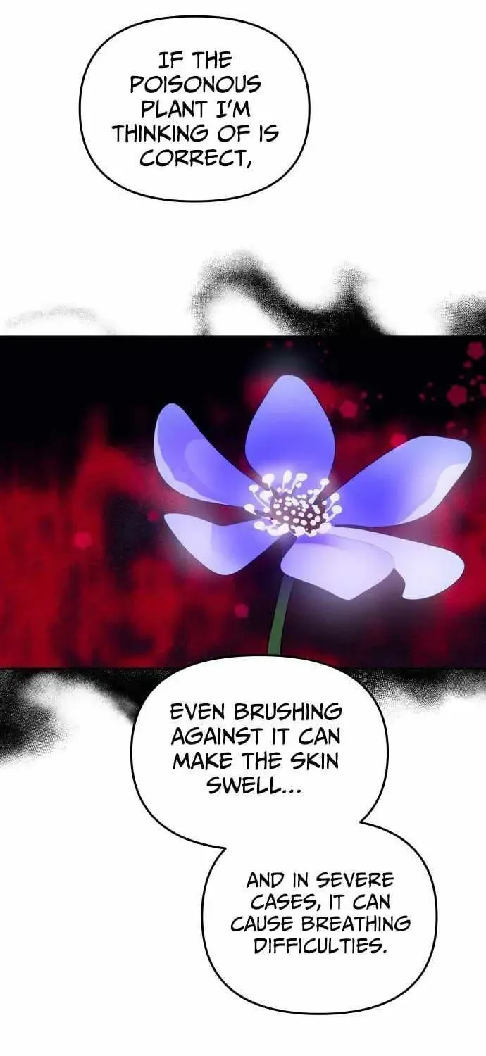Top Star Sent by God — Chapter 46 — page 2