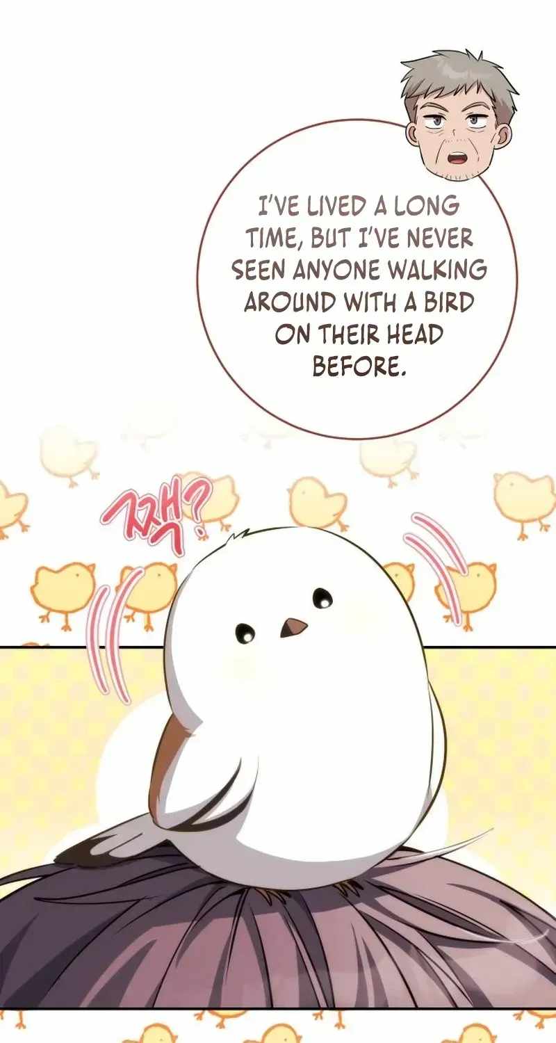 Devely’s Healing Time — Chapter 5 — page 8