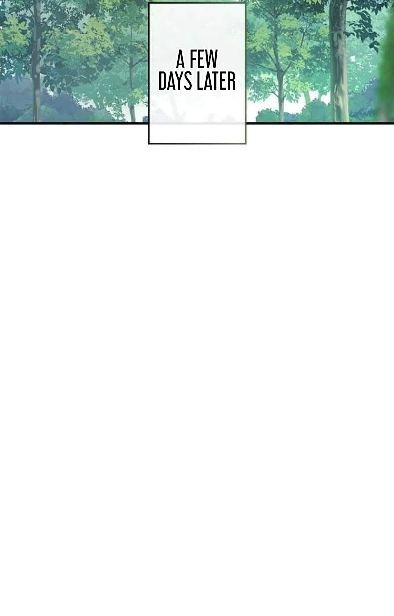 The Knight of Balance — Chapter 11 — page 2